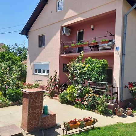 Soba Lavanda Kladovo Dış mekan fotoğraf