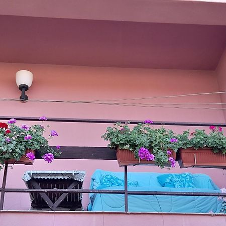Soba Lavanda Kladovo Dış mekan fotoğraf
