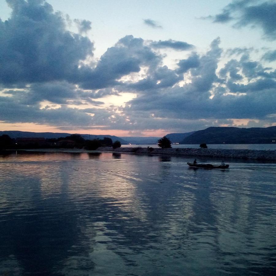 Soba Lavanda Kladovo Dış mekan fotoğraf