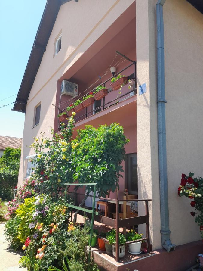 Soba Lavanda Kladovo Dış mekan fotoğraf