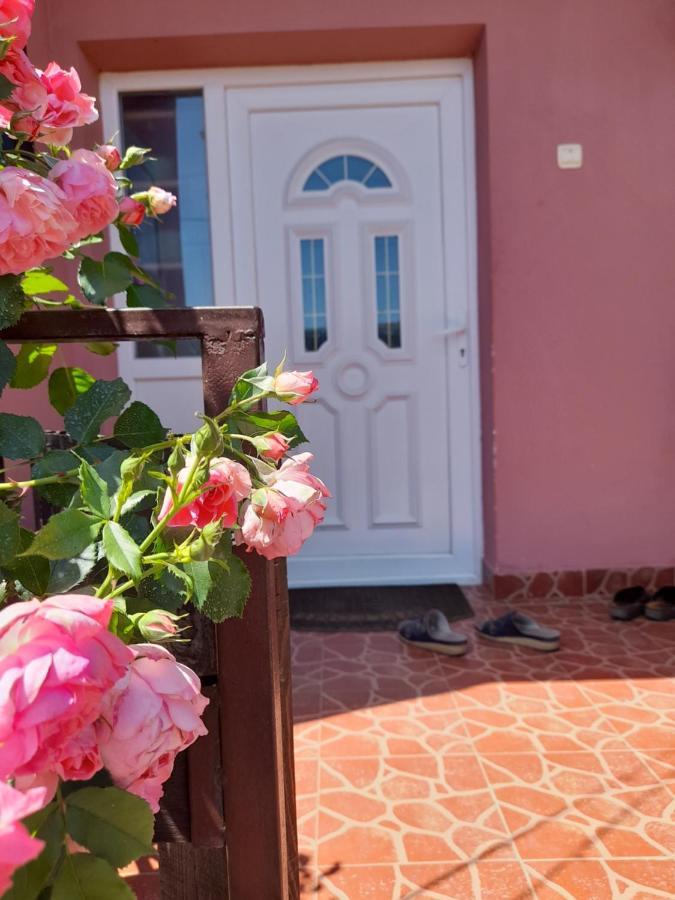 Soba Lavanda Kladovo Dış mekan fotoğraf