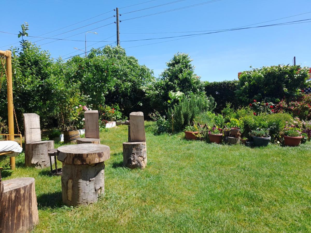 Soba Lavanda Kladovo Dış mekan fotoğraf