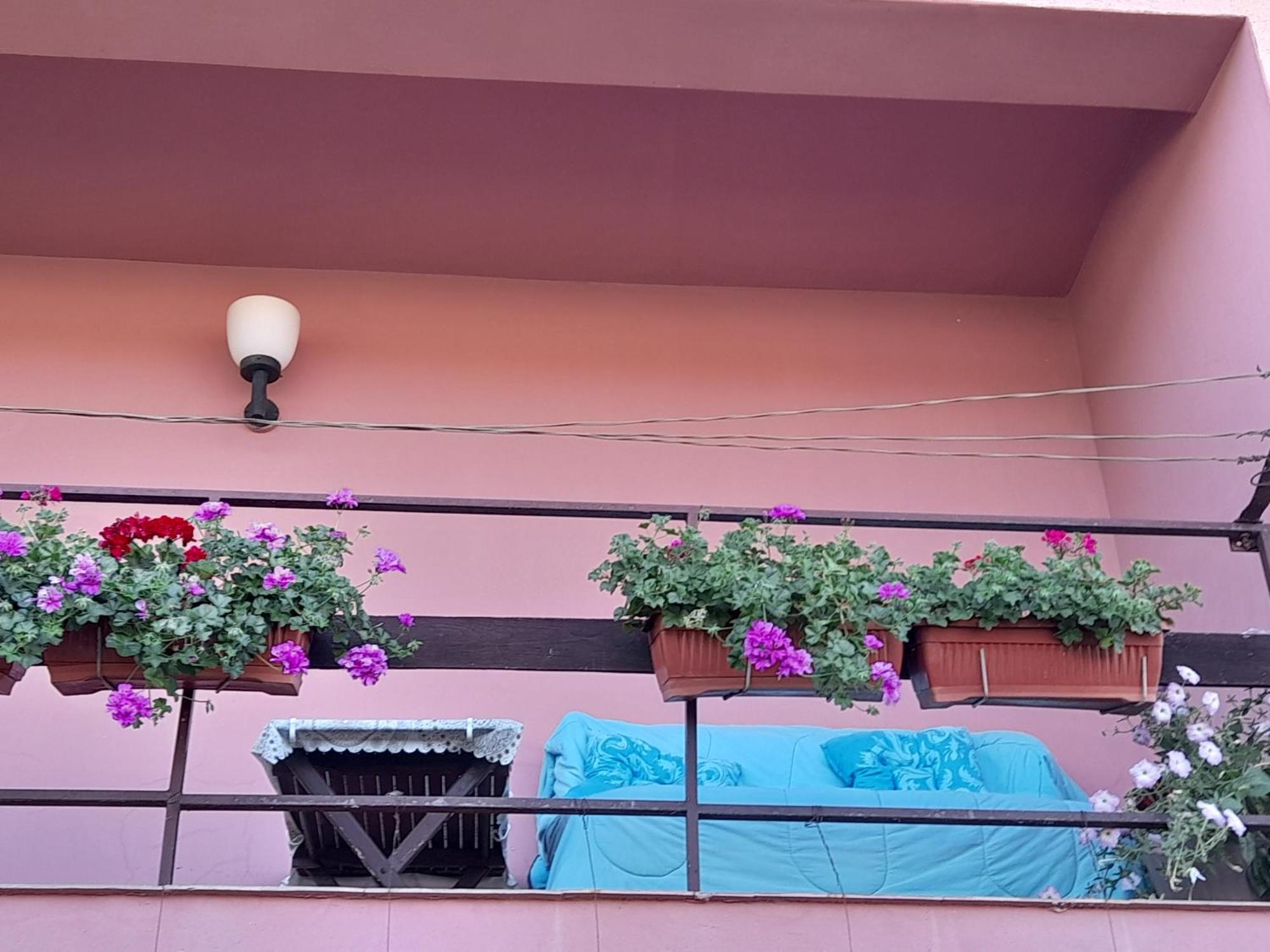 Soba Lavanda Kladovo Dış mekan fotoğraf