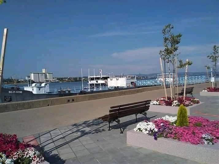 Soba Lavanda Kladovo Dış mekan fotoğraf