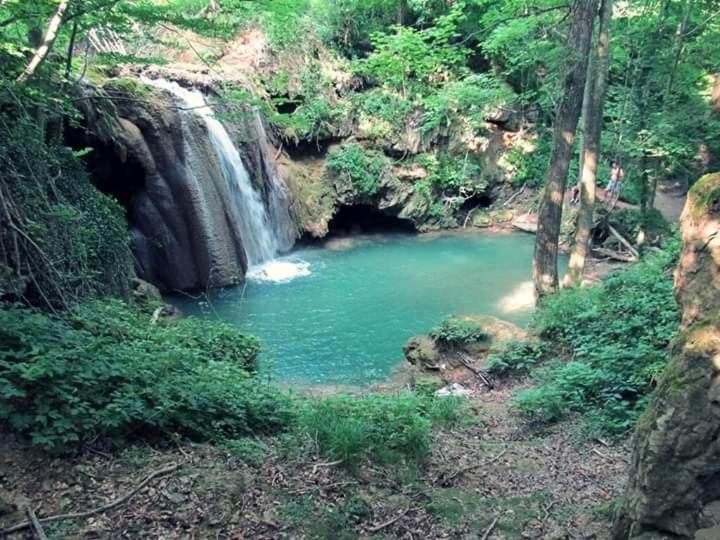 Soba Lavanda Kladovo Dış mekan fotoğraf
